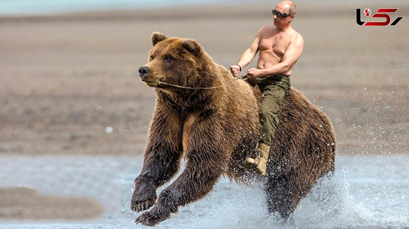 عکس خرس سواری پوتین جنجالی شد!