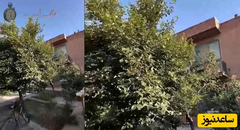 خونه پدری دکتر پزشکیان