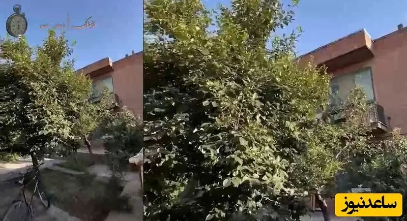 خونه پدری دکتر پزشکیان