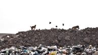 ضرورت تعیین تکلیف وضعیت زباله‌های میبد/ زمین برای سایت  واگذار نشده است