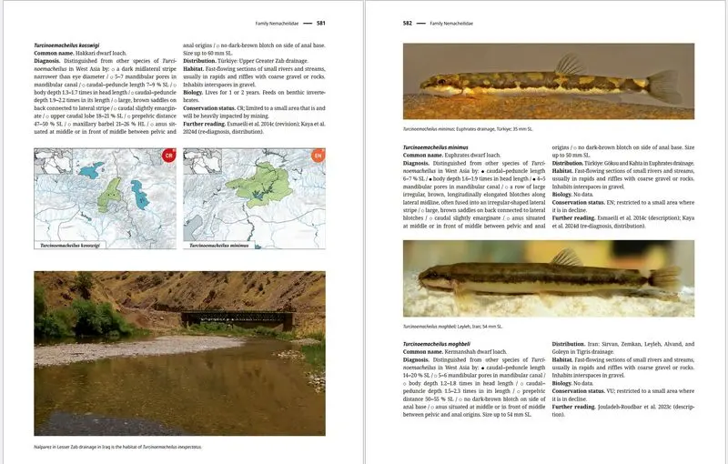 کتاب راهنمای ماهیان آب شیرین غرب آسیا6