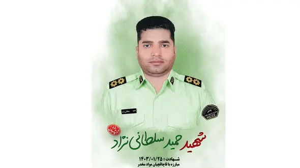 عامل شهادت ستواندوم شهید حمید سلطانی نژاد به هلاکت رسید + عکس و جزییات