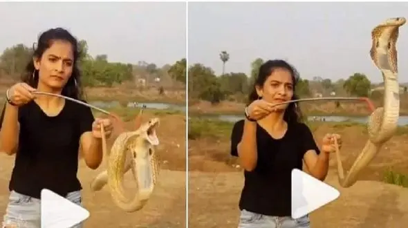 مار بازی یک دختر در اینستاگرام + فیلم