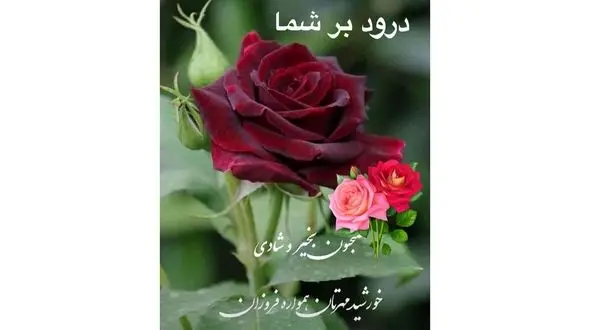 فال روزانه شخصی/ 19 شهریور ماه + فیلم