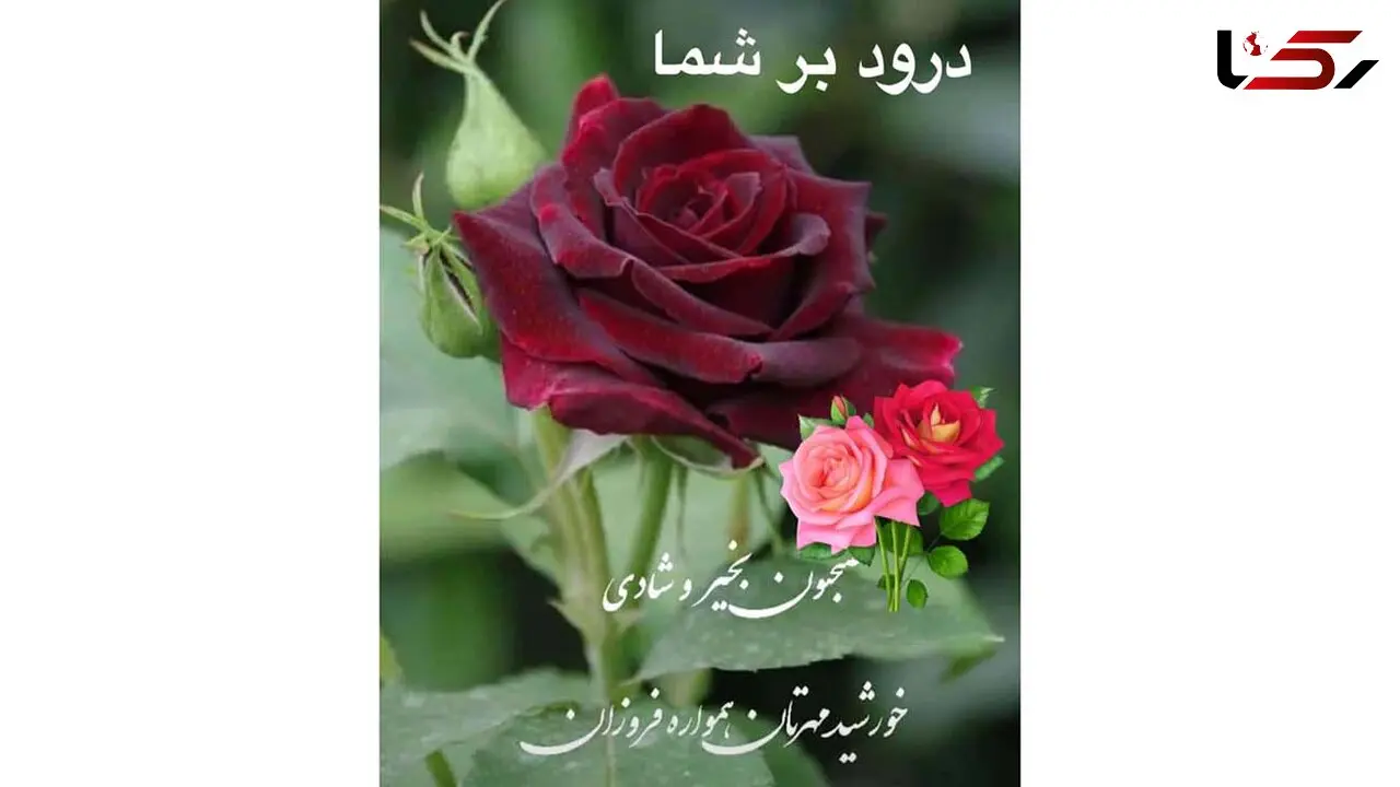 فال روزانه شخصی/ 19 شهریور ماه + فیلم