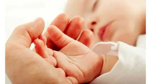 قتل نوزاد با گیاهخواری ! / شیلا در دادگاه اعتراف کرد !
