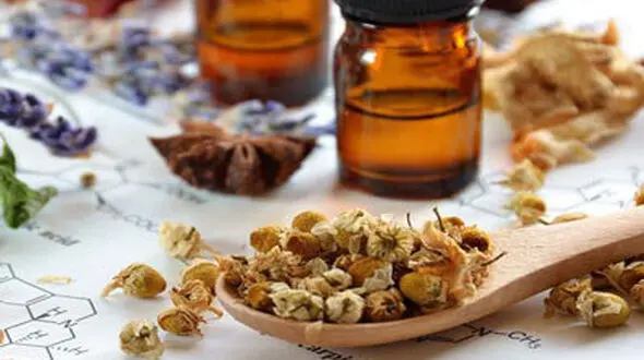 پیشگیری از سرطان با این گیاهان گرمسیری مفید