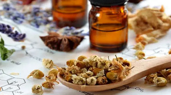 پیشگیری از سرطان با این گیاهان گرمسیری مفید