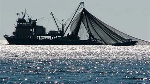 شناور غیرمجاز صید ترال در خلیج فارس توقیف شد / 4 خدمه دستگیر شدند