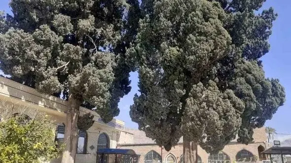 ۹ پرونده میراث طبیعی فارس در فهرست آثار ملی به ثبت رسید