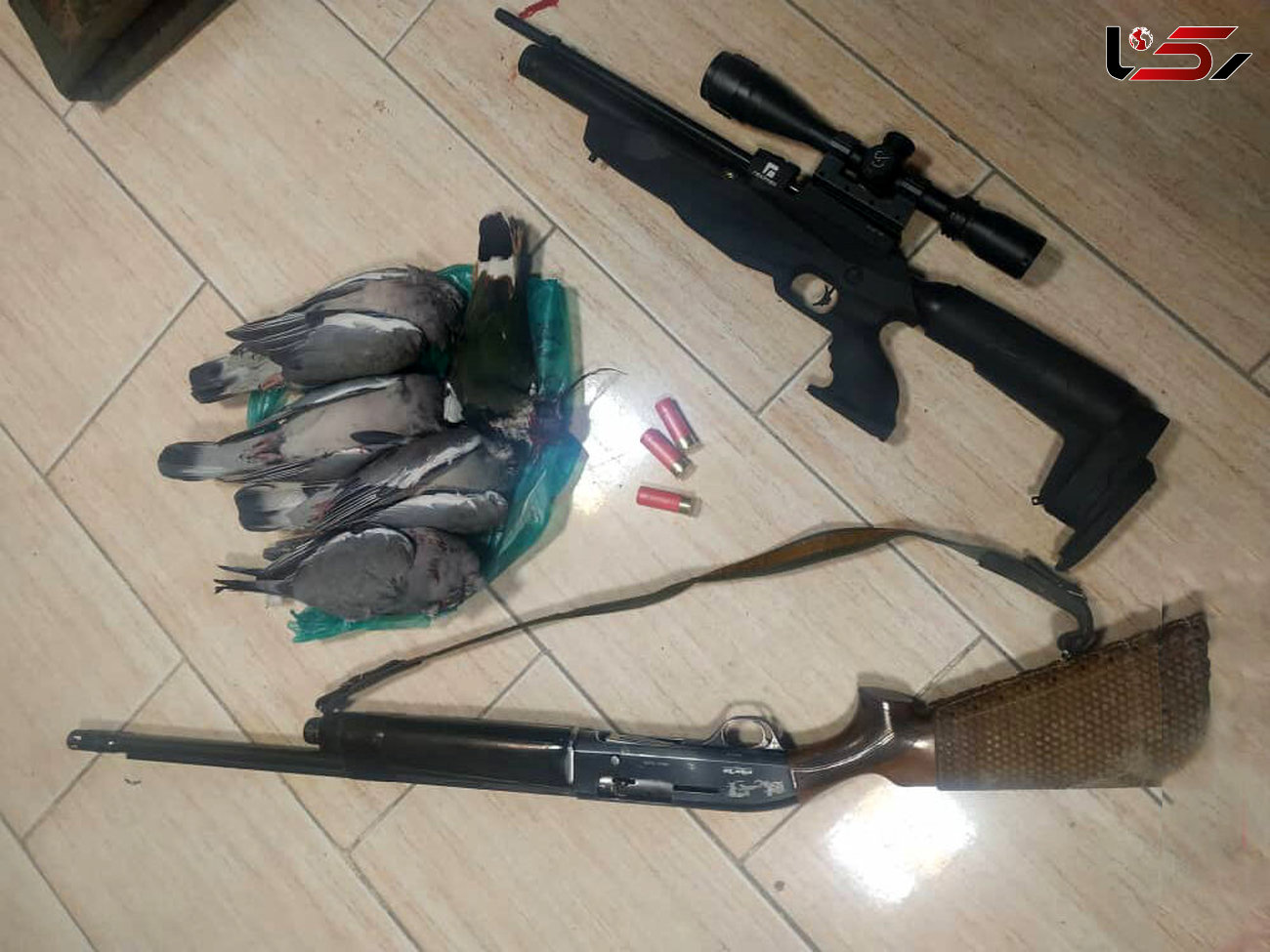 پنج شکارچی غیر مجاز در قزوین دستگیر شدند