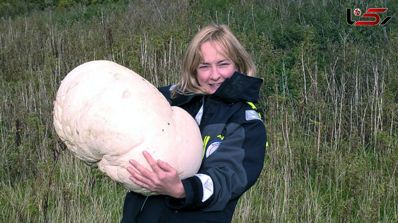 زن جنگلبان  قارچ غول پیکر 10 کیلویی پیدا کرد +عکس 