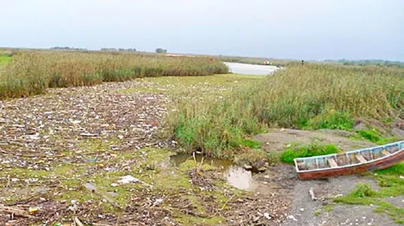 خشک شدن تالاب انزلی تا ۱۵ سال آینده/تالاب انزلی را دریابید