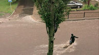 سیلاب یک زن را با خود برد + تصاویر