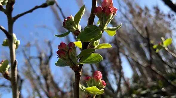 فال ابجد محشر 11 فروردین + فیلم