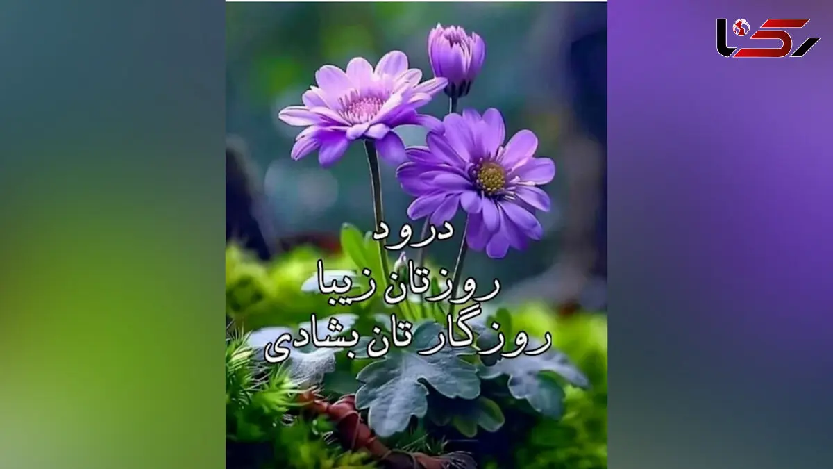 فال روزانه امروز 13 خرداد ماه