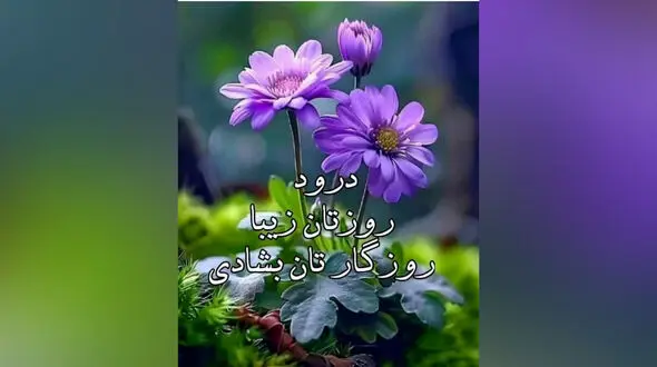 فال ابجد فردا 17 خرداد 