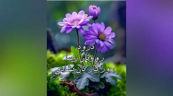 فال ابجد فردا 17 خرداد 