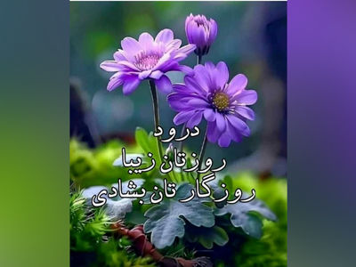 فال روزانه امروز 13 خرداد ماه