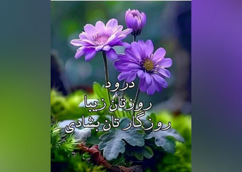 فال روزانه امروز 13 خرداد ماه