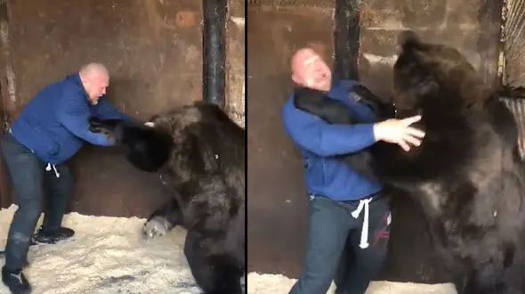 فیلم جالب از کشتی خرس قهواه ای با مربی اش 