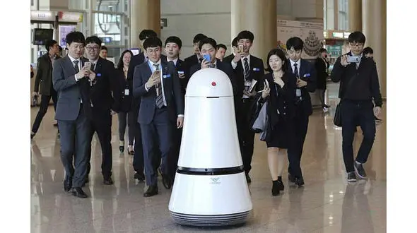 بات ها در کره جنوبی به استقبال مسافران می آیند+ عکس 
