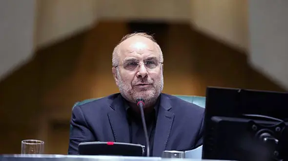  مردم با صندوق رأی قهر نیستند/ اگر وضع اقتصادی رونق داشت نرخ مشارکت متفاوت می‌شد