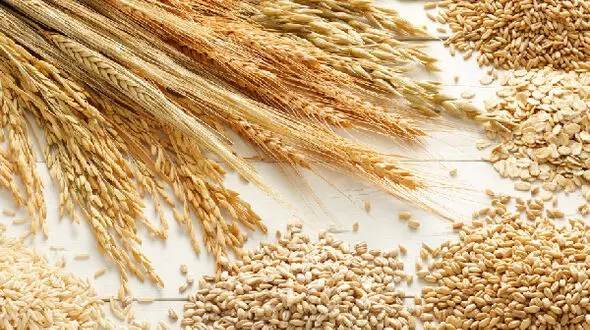 سویا باعث چاقی و اضافه وزن می شود
