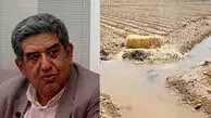 ایرانی‌های موفقی که بحران آب کالیفرنیا را مدیریت کردند،جایی در تصمیم‌گیری‌های آبی ایران ندارند/ اعلام آمادگی برای کمک کردند اما درها روی آنها باز نیست / کسری آب فلات مرکزی به ۱۵ میلیارد مترمکعب رسید + صوت