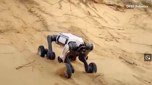 فیلم / سگ رباتیک شگفت‌ انگیز که به همه جا سر می‌ زند! 