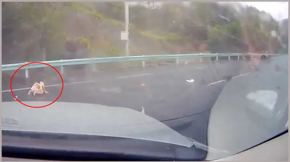 تصادف خودروی شاسی بلند با گارد ریل / کودک از ماشین به بیرون پرت شد 