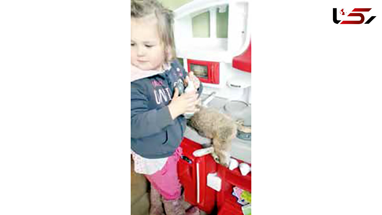 آشپزی عجیب دختر 2 ساله با جسد خرگوش