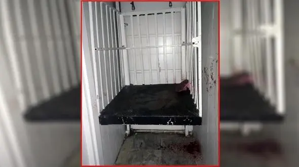 دردناکترین مرگ! / مادر روی بالابر بود که صدای له شدن کودکش را زیر پاهایش شنید! + عکس