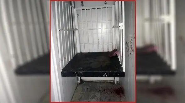 دردناکترین مرگ! / مادر روی بالابر بود که صدای له شدن کودکش را زیر پاهایش شنید! + عکس