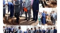 ۳ هزار اصله نهال در شهر محمدیه و مهرگان غرس شد