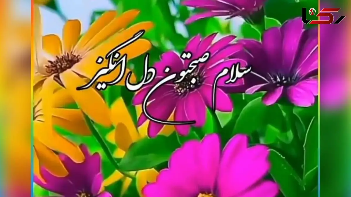 فال روزانه شخصی / 3 خرداد ماه + فیلم