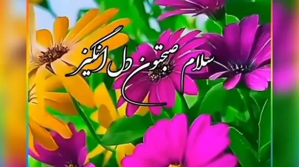 فال روزانه شخصی / 3 خرداد ماه + فیلم