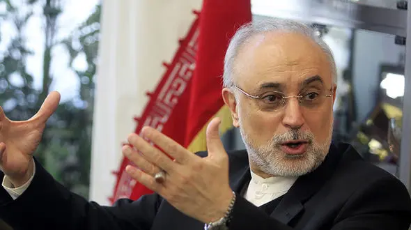 صالحی: ترامپ باید پاسخ دهد که چرا از برجام خارج شد