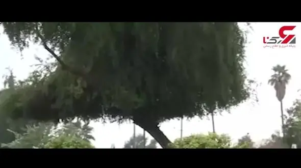 بارش برف و باران در استان خوزستان + فیلم 