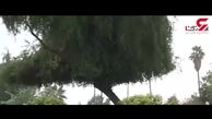بارش برف و باران در استان خوزستان + فیلم 