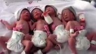 نوزادان 4 قلو در گناباد متولد شدند