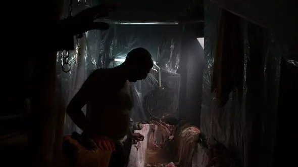 حیوان در ازمیر ترکیه 