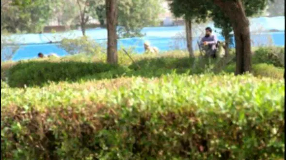 اولین عکس از پناهگاه عاملان حمله تروریستی اهواز  لحظاتی قبل از شلیک!