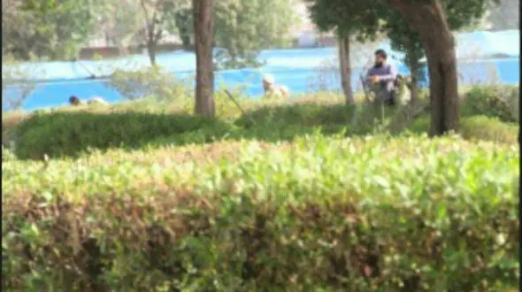اولین عکس از پناهگاه عاملان حمله تروریستی اهواز  لحظاتی قبل از شلیک!