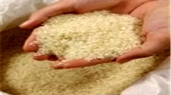 فروش برنج هندی 3400 تومانی توسط بازرگانی دولتی به اتحادیه بنکداران مواد غذایی