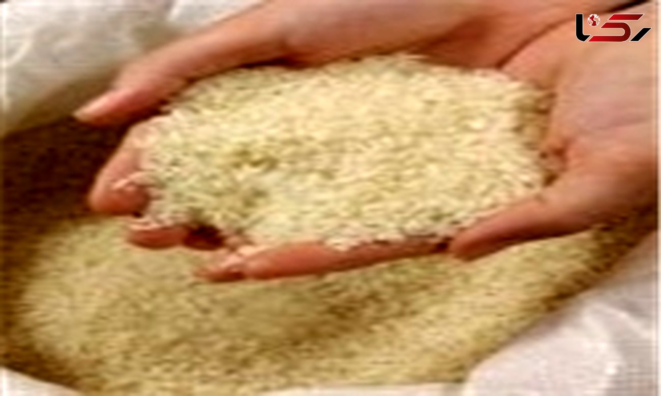 فروش برنج هندی 3400 تومانی توسط بازرگانی دولتی به اتحادیه بنکداران مواد غذایی