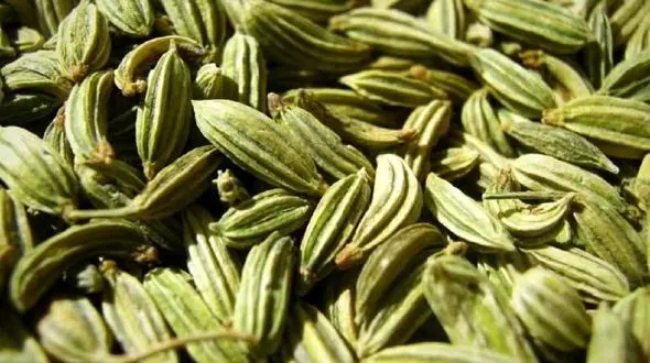 خواص زیره برای سلامتی