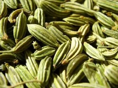 خواص زیره برای سلامتی
