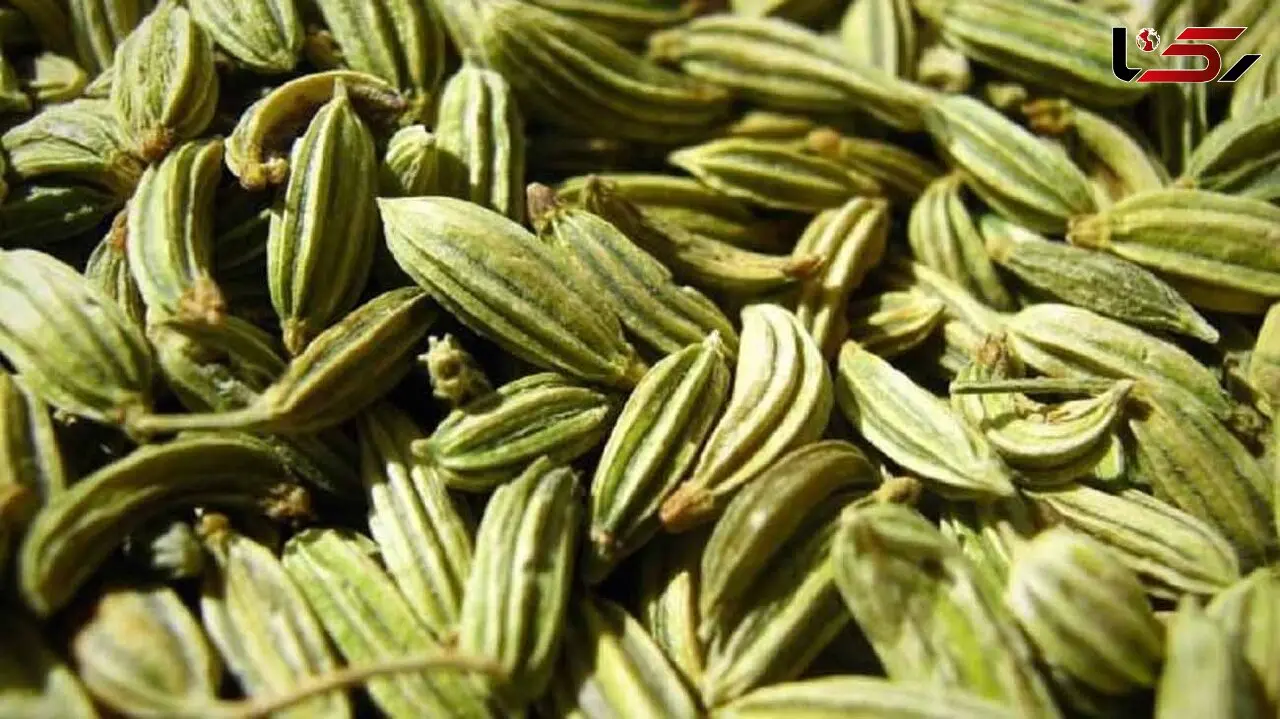 خواص زیره برای سلامتی