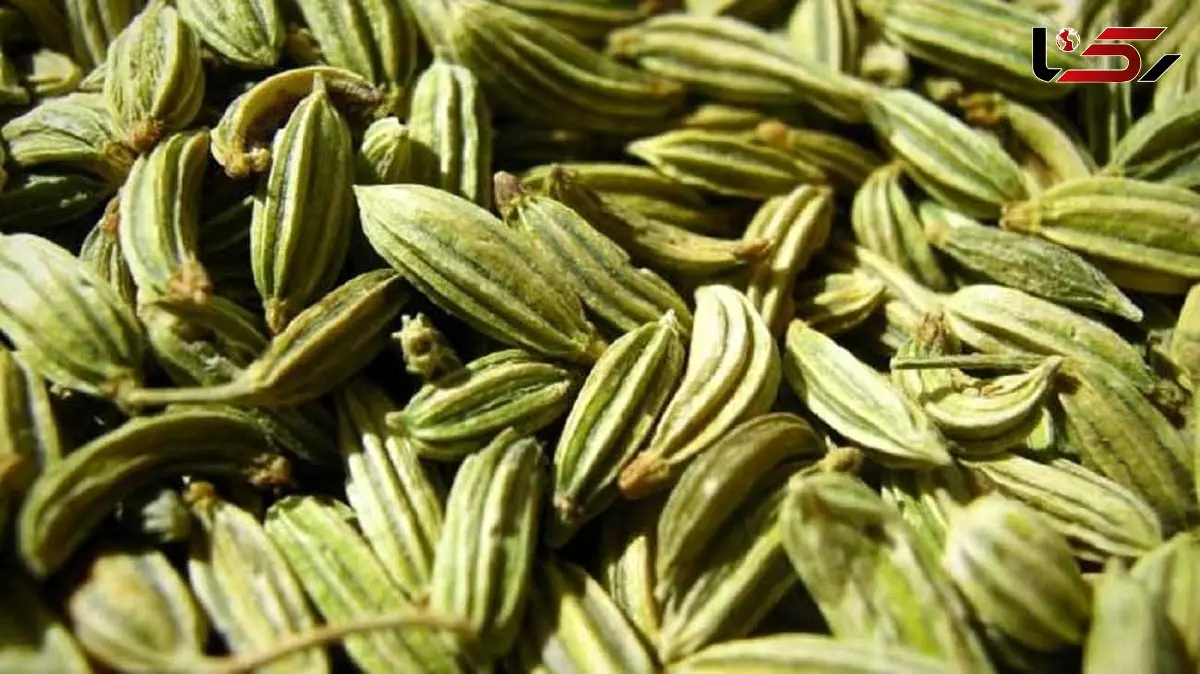خواص زیره برای سلامتی